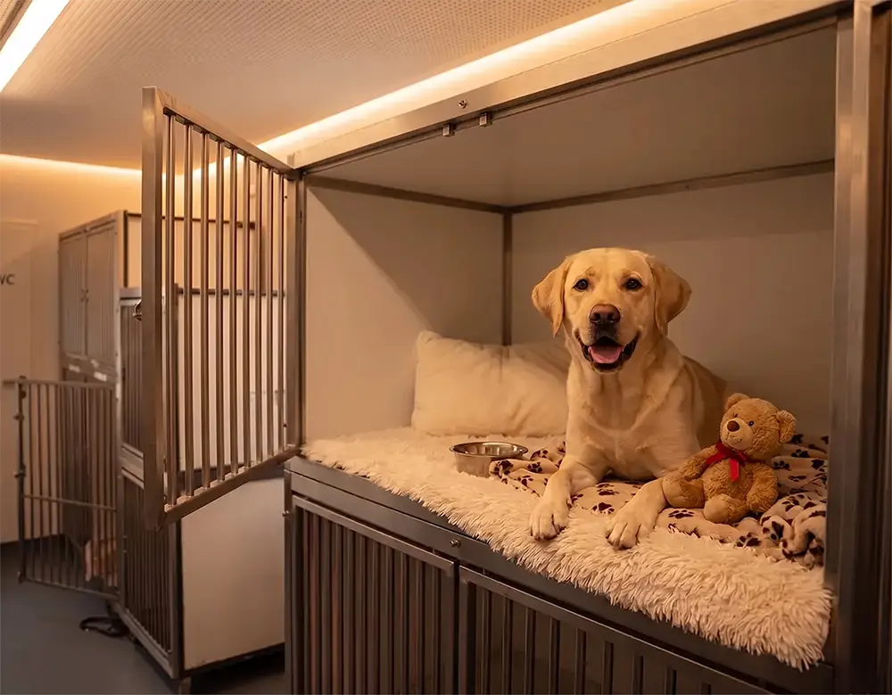 Hundebox