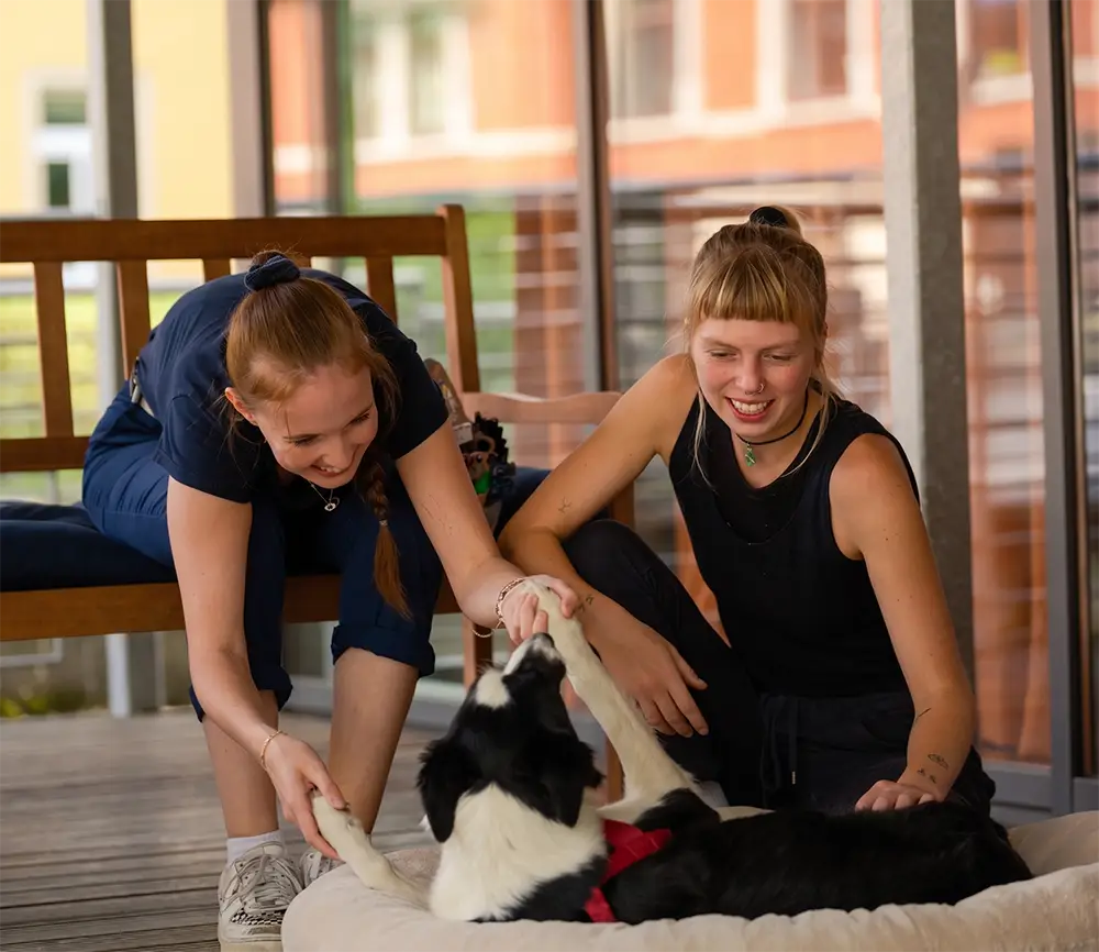 Betreuung Hund